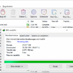 Idm screenshot 6 35.png