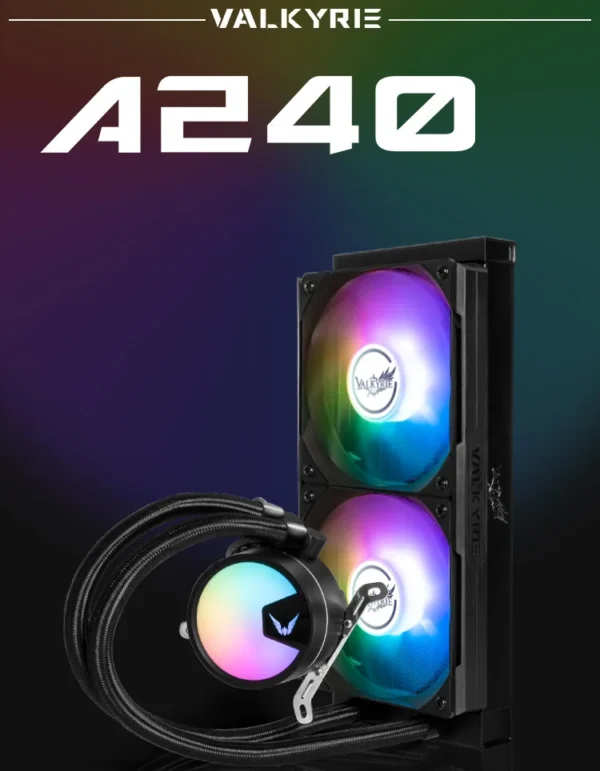 V2.webp