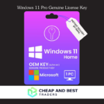 Microsoft Windows 11 pro digital key oem