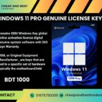 Microsoft Windows 11 pro digital key oem